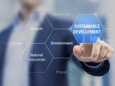 Sustentabilidade Empresarial: entenda os 3 pilares de um negócio sustentável.