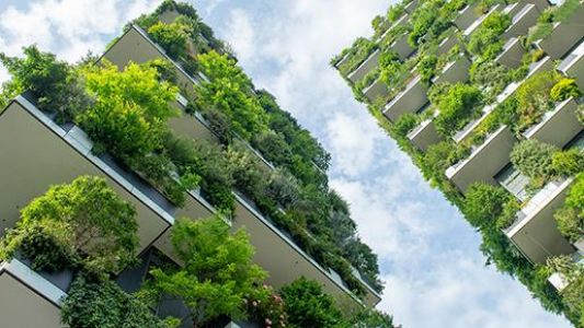 Edifícios verdes beneficiam o planeta e as pessoas